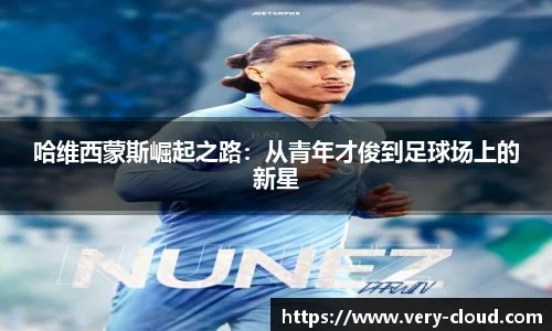 333体育官网app下载